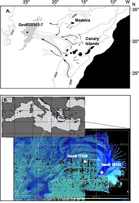 Micro-Fourier transform infrared spectroscopy of degradation-resistant organic microfossils; Influence of preservation environment and phylogeny